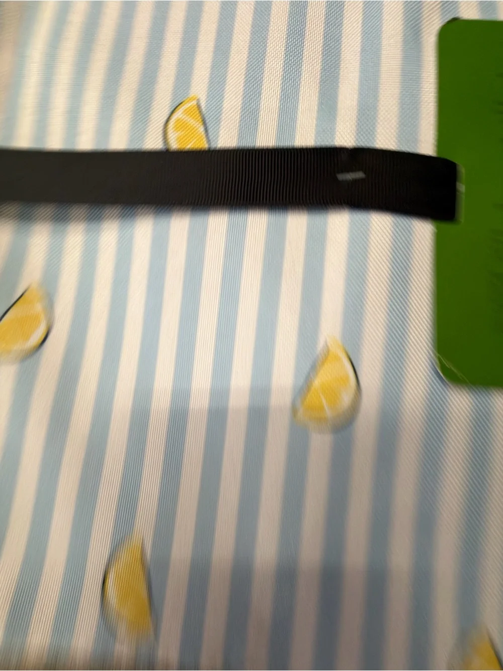 kate spade Blue and Yellow Lemon Stripe Placemats - Set of 4 NWT